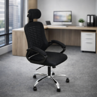 كرسى مدير شبك طبى