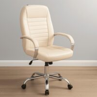 كرسى مكتب جلد